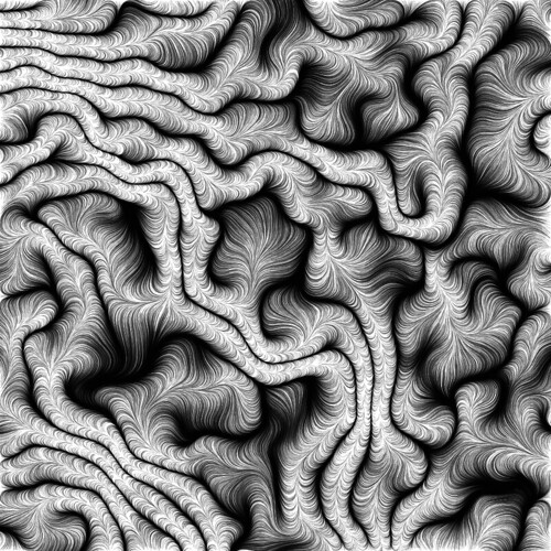 Perlin Roots
