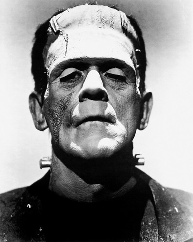 The Bride of Frankenstein (Universal, 1935) 7 by Aeron Alfrey