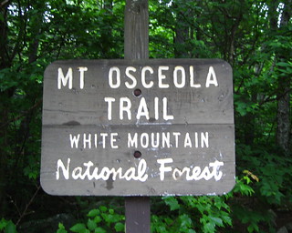 Mt. Osceola Hike