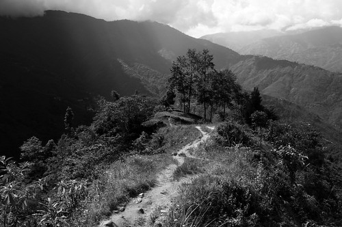 Paysage du Darjeeling