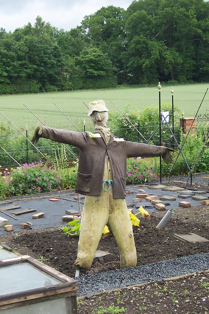 Gay Scarecrow 13