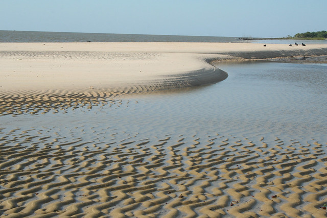Praia de São João1