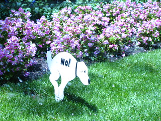 No dog poop sign outside the NYC Public Library