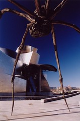 Frank Gehry, Architect
