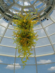 Dale Chihuly (artist)