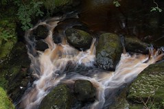 Wales - Afon Cynfall