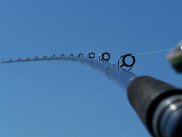 fishing fish rod