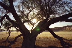Namibia 2002
