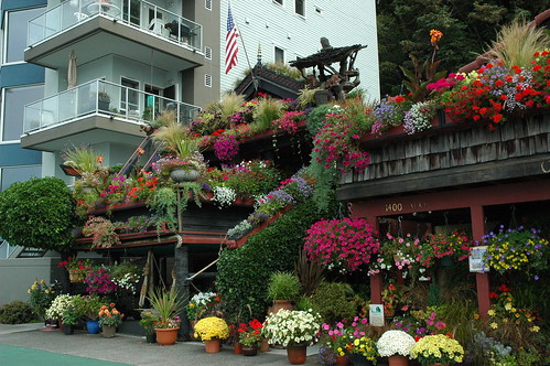 The Flower House with Condo on Alki Beach, Seattle, Washington by Wonderlane