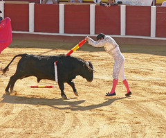 Bullfighting in Fuengirola, Spain