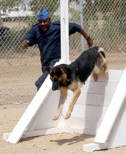 Djibouti Police Academy dedicates K-9 obstacle course