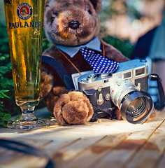 Mr T. Bear Goes To The G20 Summit