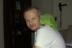 Our parrot