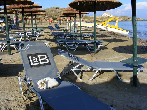 cat nap St Nicolas beach, Zakynthos