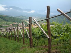 2007 - Italy
