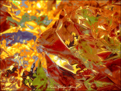 Foil Photo Abstracts