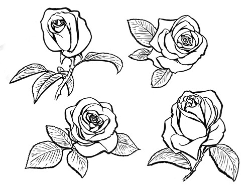 Roses galore