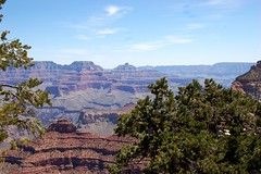  National Park- Grand Canyon