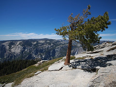 Yosemite National Park 2010