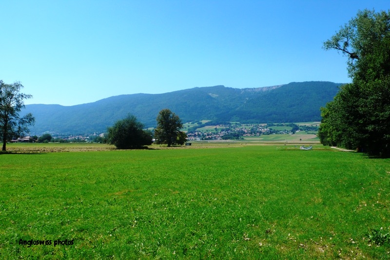 View towards Jura from Altreu