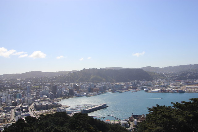 Día 11 - 10/10/15: Wellington: Mt. Victoria, Museo Te Papa y Cable Car - Nueva Zelanda, Aotearoa: El viaje de mi vida por la Tierra Media (37)
