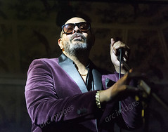 Barry Adamson and The Bear Around Your Neck