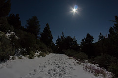 Noche de luna llena y nieve en La Cumbre de Gran Canaria
