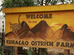Ostrich Farm, Curacao