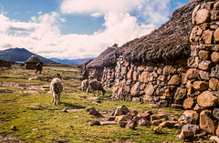 Lesotho / Drakensberg 1995