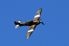 RAF BBMF Hurricane PZ865
