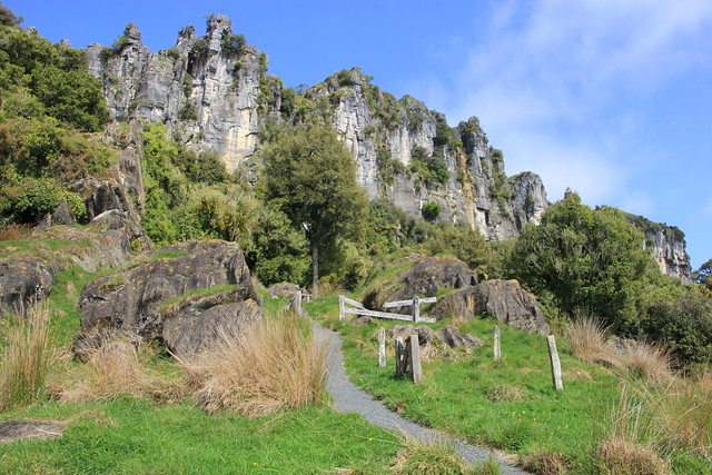 Nueva Zelanda, Aotearoa: El viaje de mi vida por la Tierra Media - Blogs de Nueva Zelanda - Día 8 - 7/10/15 - Piopio y Tongariro National Park (16)
