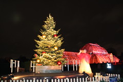 2015_12_18 Christmas at Kew