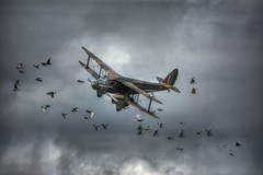 Aviation - Vintage