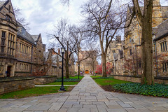 Yale Campus, December 2015