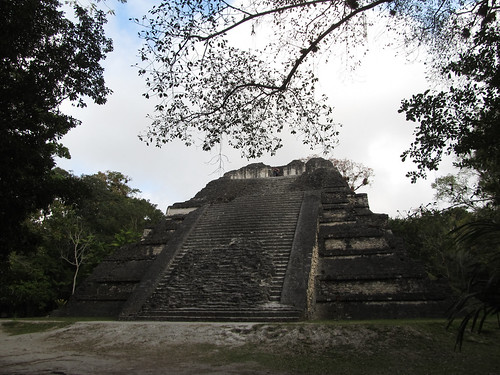 Tikal: le Sloping Panel Temple, le deuxième plus large temple de Tikal et dont certaines caractétistiques architecturales rappellent Teotihuacan.