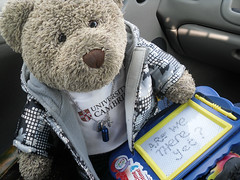 TED GOES BACK TO CUMBRIA