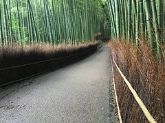 京都, Kyoto