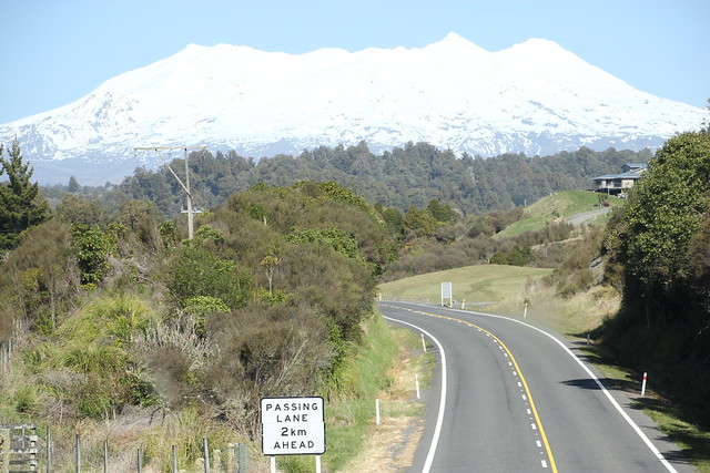 Nueva Zelanda, Aotearoa: El viaje de mi vida por la Tierra Media - Blogs de Nueva Zelanda - Día 8 - 7/10/15 - Piopio y Tongariro National Park (50)