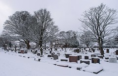 Crookes Cemetery, Sheffield.  After the snowstorm, Jan 2015.