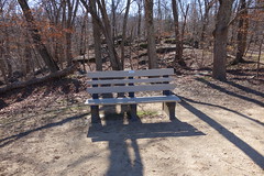 DSC01894 013 Billy Goat A Donated Bench