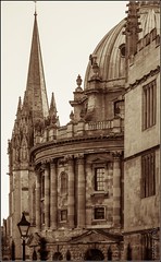 Oxford in duotone