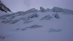 Seraki na lodowcu Munt Pers, podejście na Piz Palu.