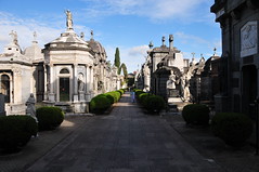 R.S. - Cementerio El Salvador