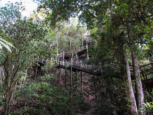 Tikal: pour monter au sommet du Temple à la Double Tête de Serpent