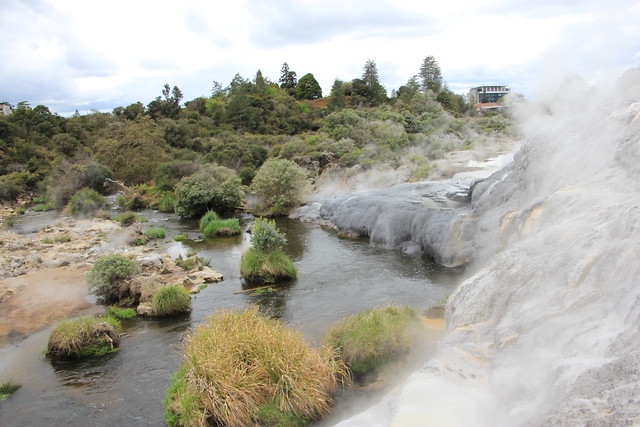 Día 4 - 3/10/15 - Rotorua: Wai - O - Tapu, Te Puia y Waitomo Caves - Nueva Zelanda, Aotearoa: El viaje de mi vida por la Tierra Media (34)