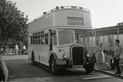 Brighton Open Top Buses