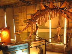 2012_03_11 London natural history museum