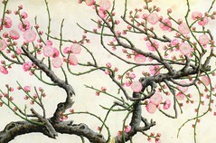Chinese art and illustrations