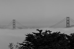 San Francisco: Land's End