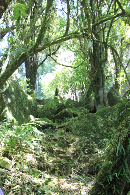 Nueva Zelanda, Aotearoa: El viaje de mi vida por la Tierra Media - Blogs de Nueva Zelanda - Día 8 - 7/10/15 - Piopio y Tongariro National Park (37)